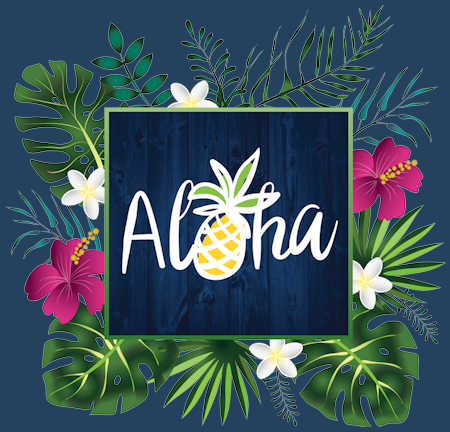 Aloha Ices Aheringham