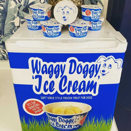 Dog Ice Cream